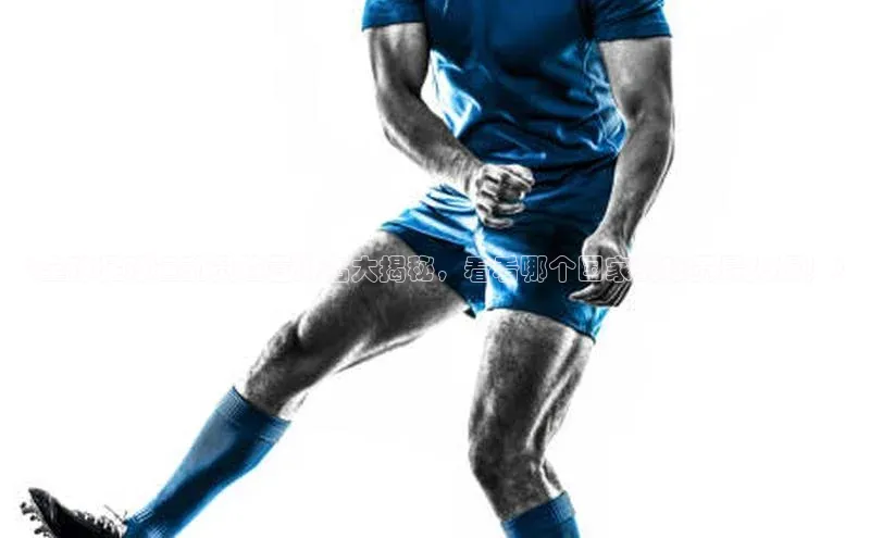 球盟会app官方下载百度人工翻译