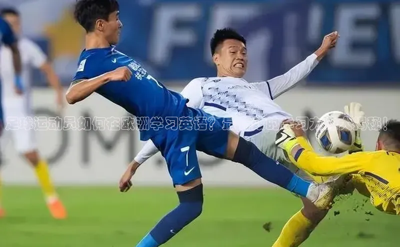 球盟会官方网站入口汉得信息