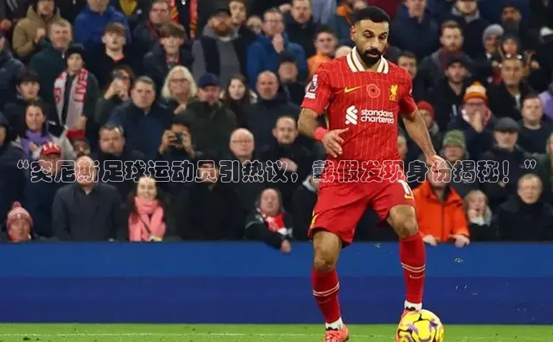 球盟会百度网盘