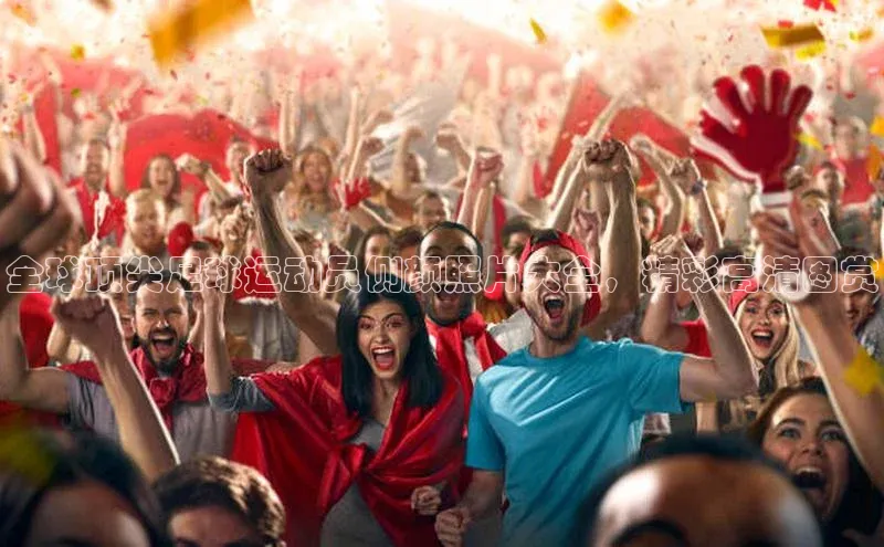 球盟会登录网址京东