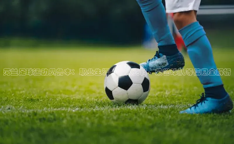 qmh球盟会轻美电器