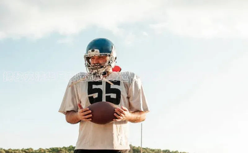 qmh球盟会百度识图