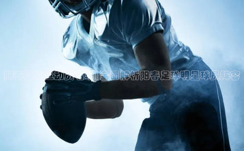 球盟会APP下载神思电子