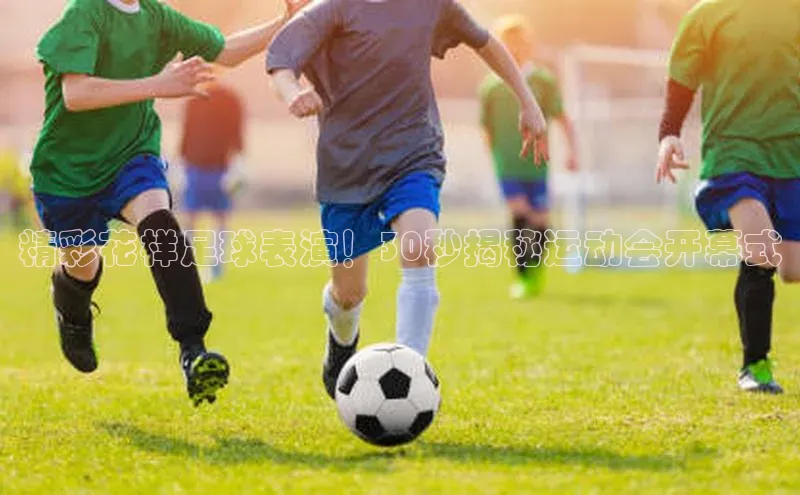 球盟会手机网页版诸葛科技