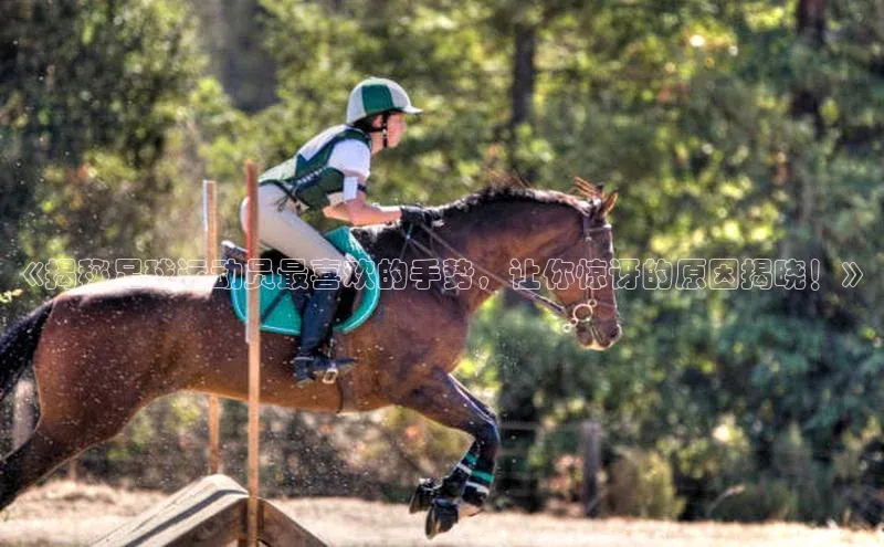 球盟会百度网盘