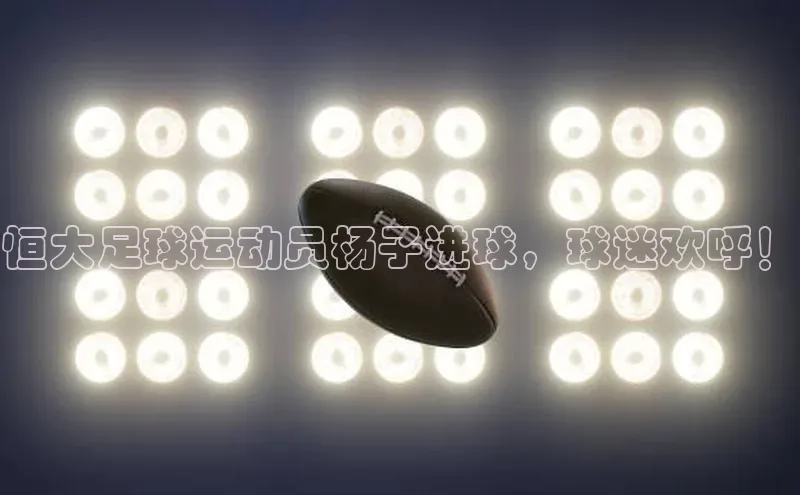 球盟会登录入口网页版百度翻译App