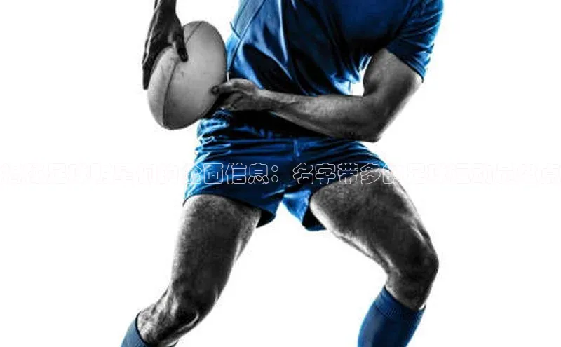 球盟会(中国)官方网站百度众测