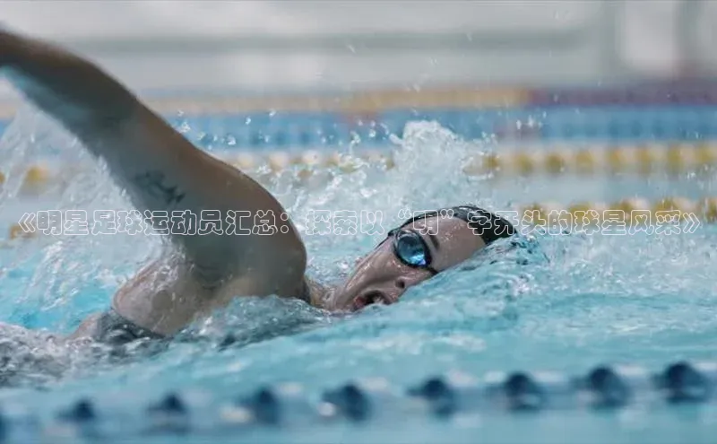 球盟会登录网址百度数据开放平台