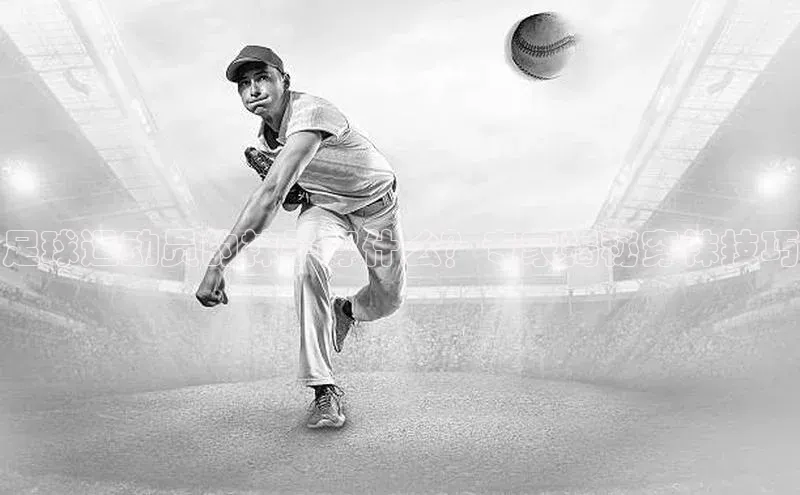 球盟会官方网站入口百度游戏开放平台