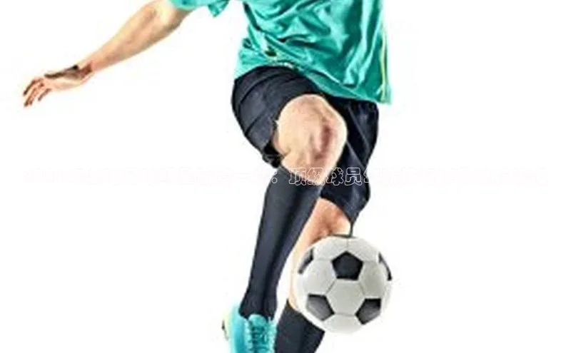 qmh球盟会百度识图