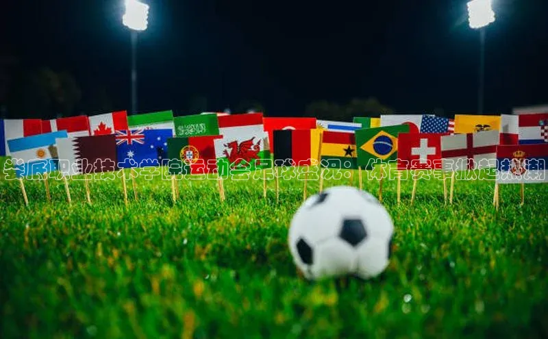 球盟体育小红书