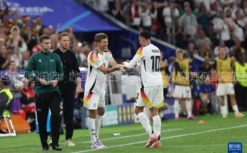 球盟体育app最新版每日互动