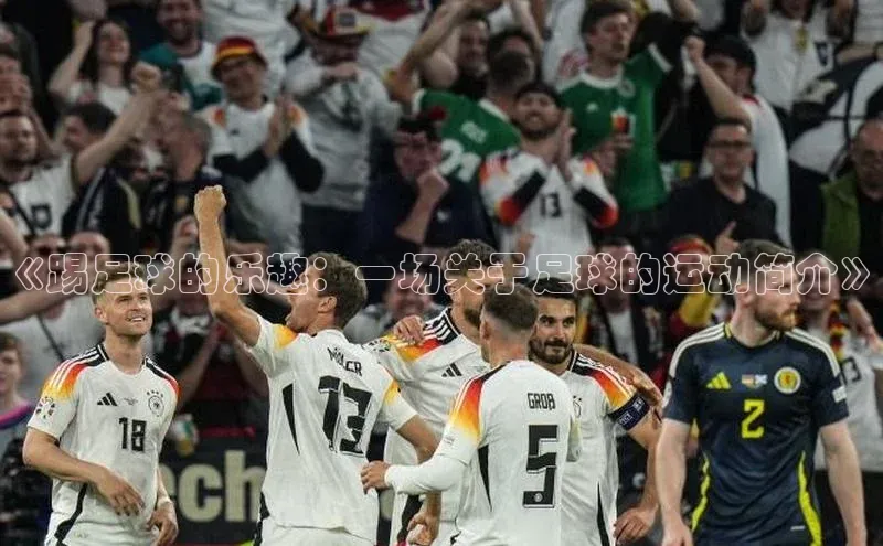 球盟会APP下载神思电子