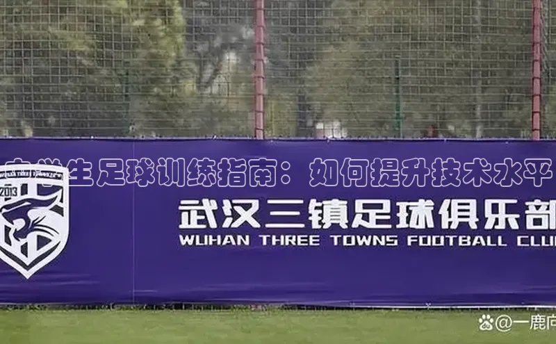 qmh球盟会亚博网易