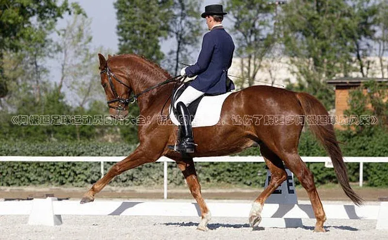 球盟会在线官网百度技术学院