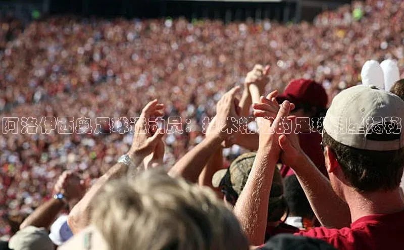 球盟会手机网页版百度手机卫士