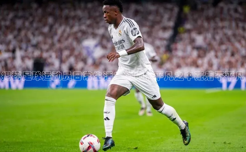 球盟会(中国)官方网站阿里尔公司