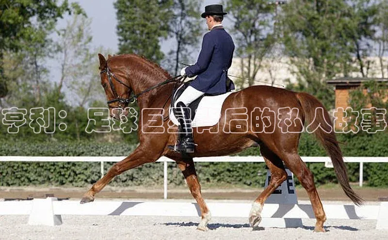 qmh球盟会百度识图