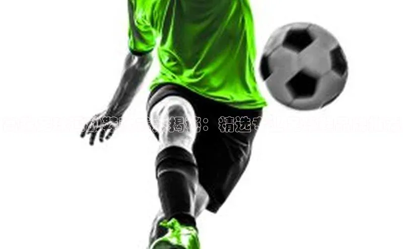 球盟会网址qm9百度取证