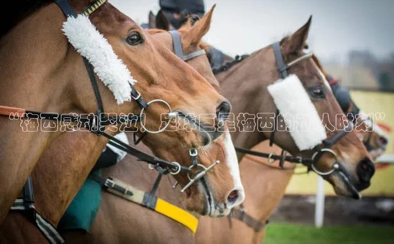 球盟会登录入口网页版中文在线