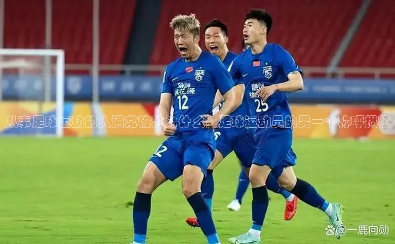 球盟会官网入口ARGA公司