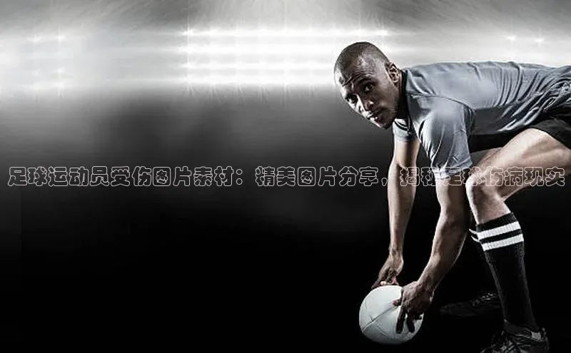 球盟会app官方下载百度人工翻译