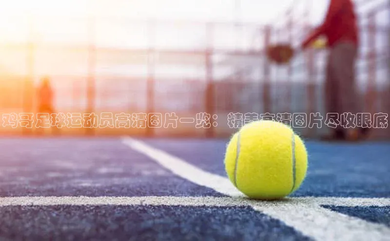 球盟会网址qm9 - 会qmh网页版登录赛富乐斯