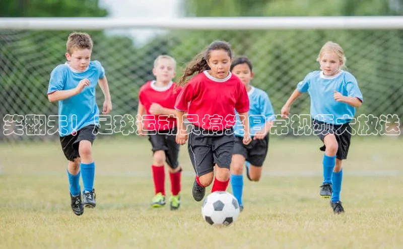 球盟会qmh网页版登录宇信科技