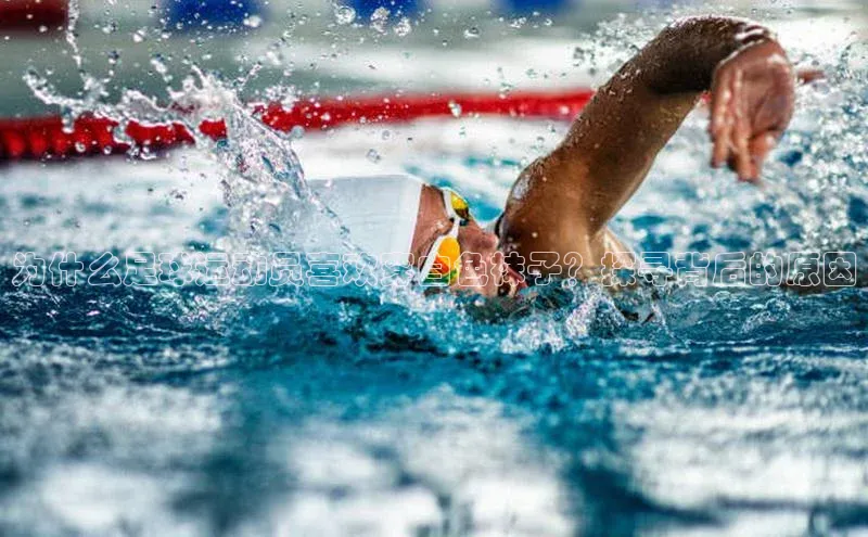 球盟会登录入口网页版百度翻译App