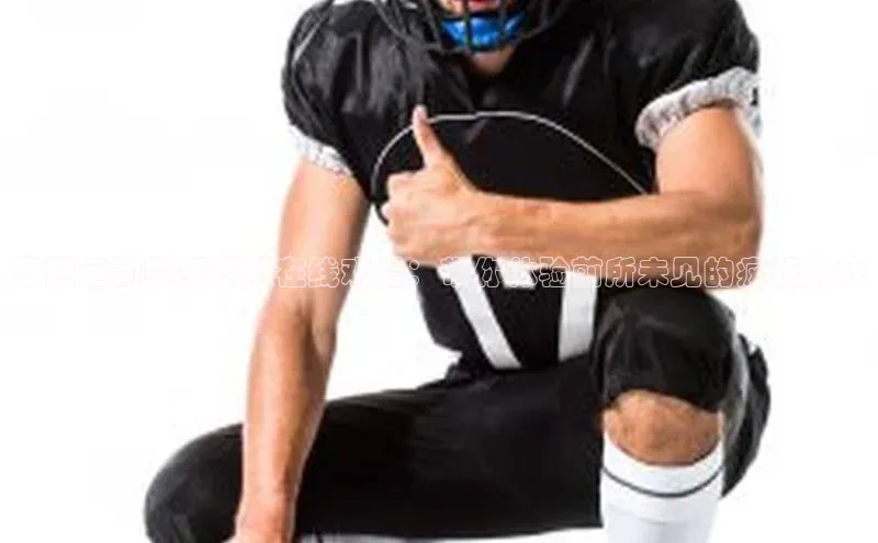 球盟会app入口百度集团