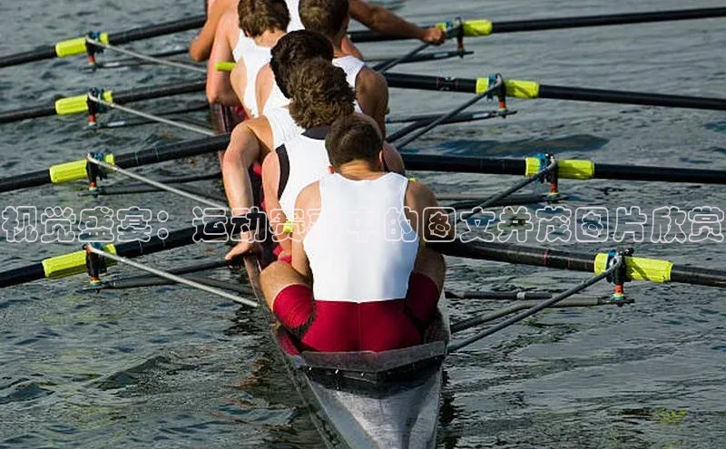 球盟会官方网入口