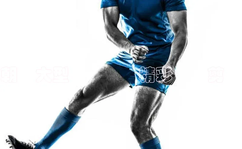 球盟会APP最新地址