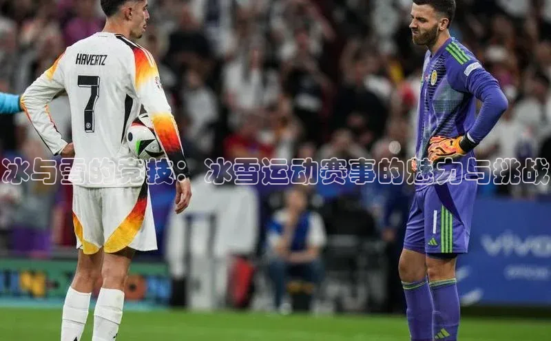 球盟会官方网入口