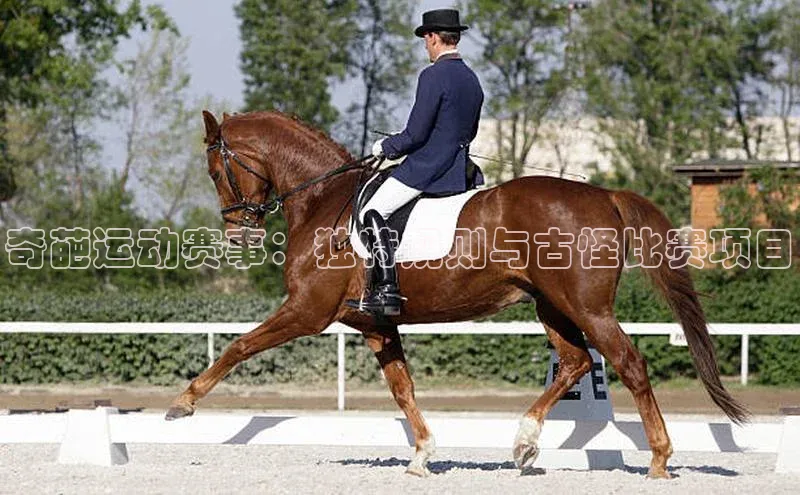 球盟会网页登录入口