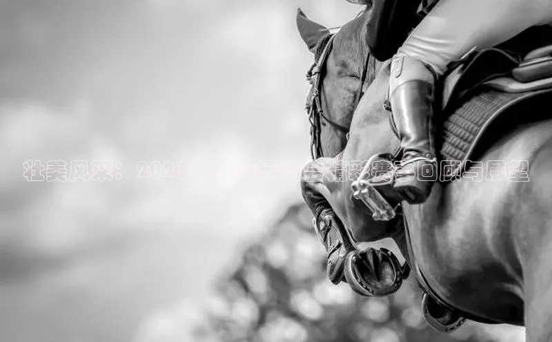 球盟会手机网页版