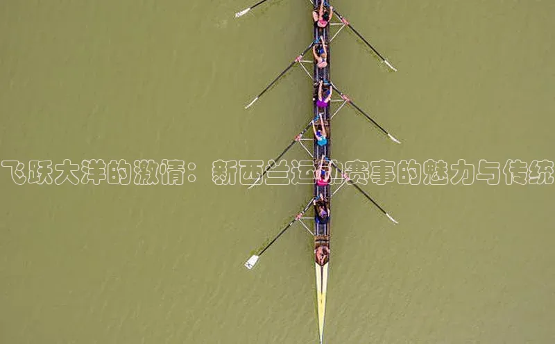 球盟会app官方下载